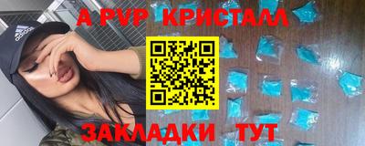 PSILOCYBIN Северобайкальск