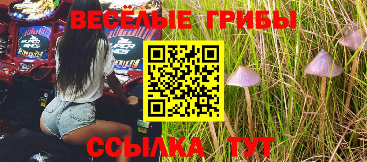 Псилоцибиновые грибы Magic Shrooms Новоалександровск